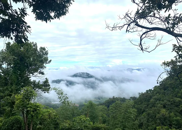 One Villa Coffee Farm Stay 2