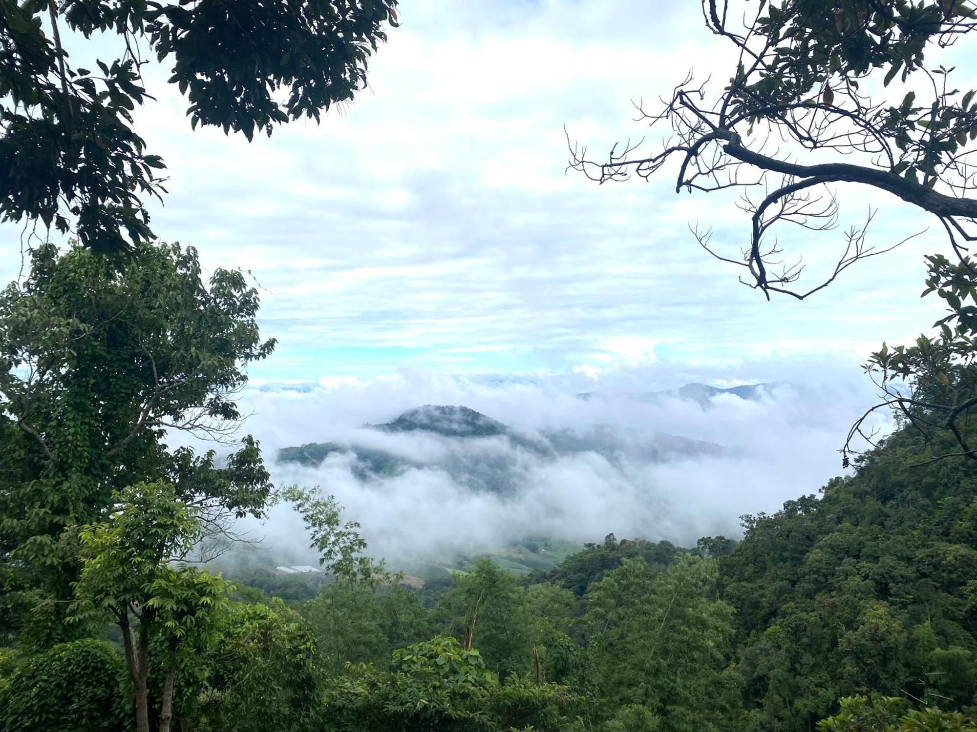 One Coffee Farm 2 Villa Ban Huai Khai