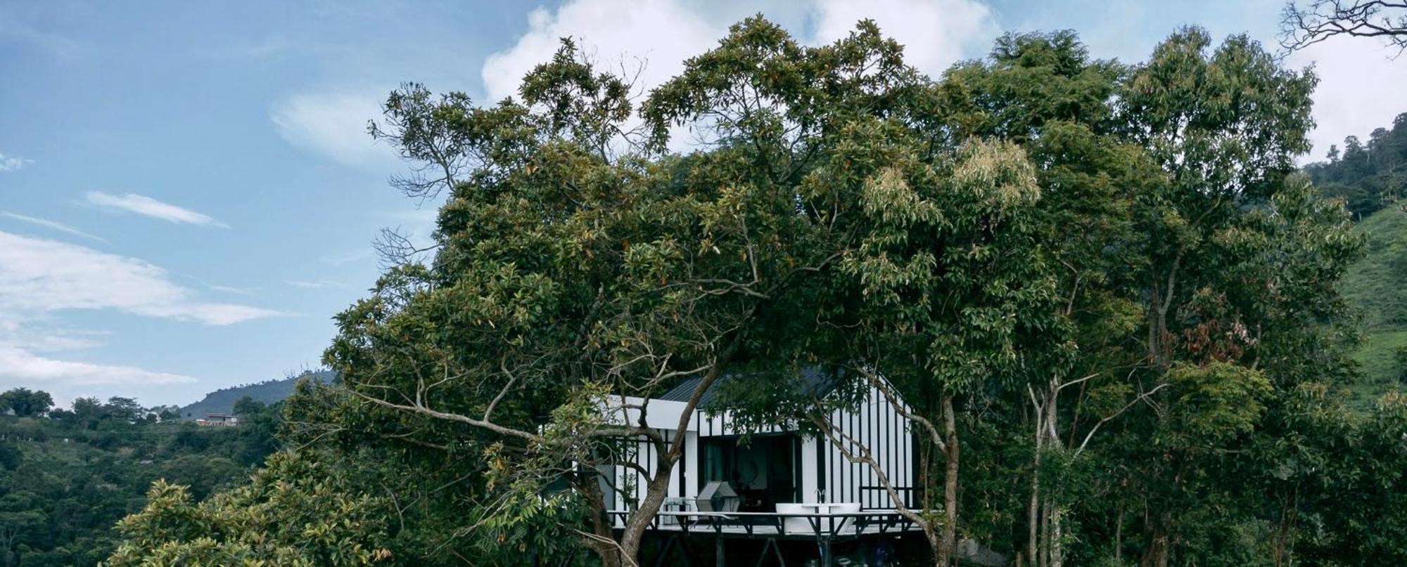 One Coffee Farm 2 Villa *