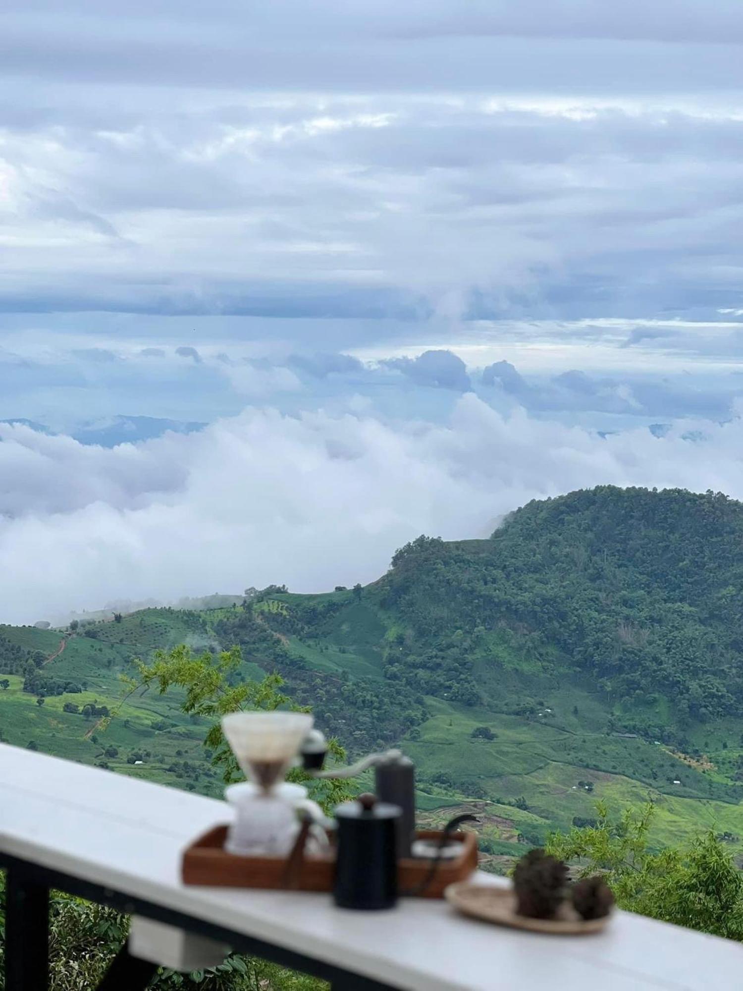 Villa One Coffee Farm 2